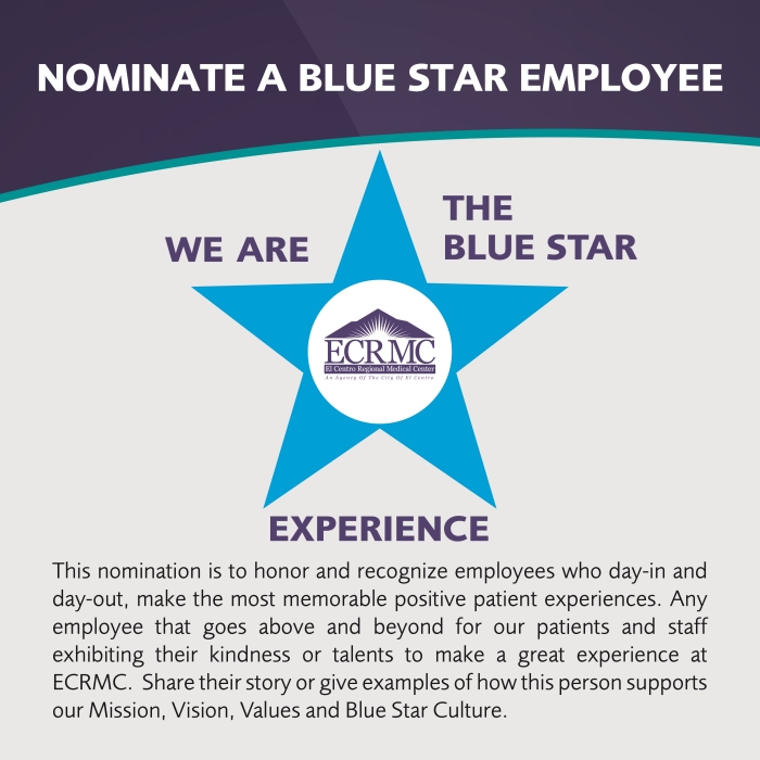 Blue Star Experience Logo